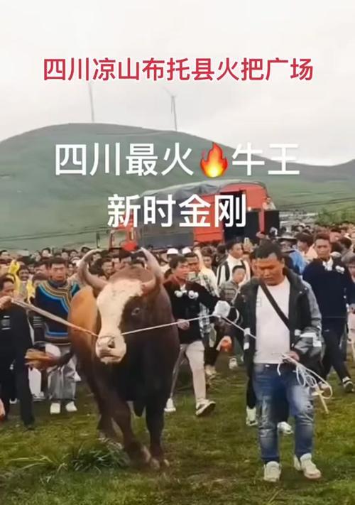 斗牛争霸赛游戏攻略-成为最强牛牛玩家的秘诀（掌握斗牛争霸赛，成为无敌牛牛大亨！）