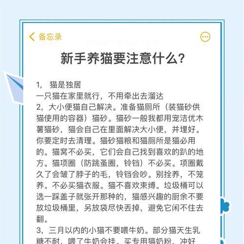 猫咪铲子出装攻略大全——打造完美的清洁工具(掌握猫咪铲子的出装技巧,让清理猫砂变得更轻松)