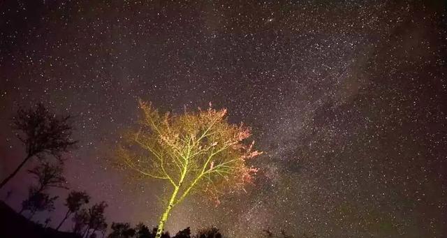 樱花谷最美出装攻略男主（探寻男主角在樱花谷中最迷人的穿搭风格）