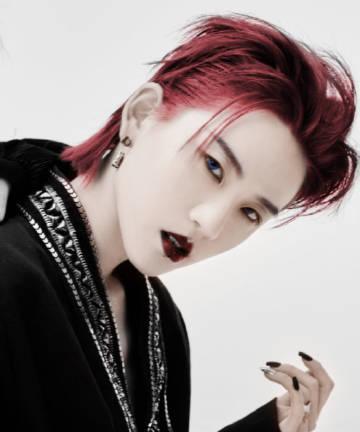 揭秘EXO助理攻略（从A到Z，掌握关键技巧，开启与EXO一同闪耀的旅程）