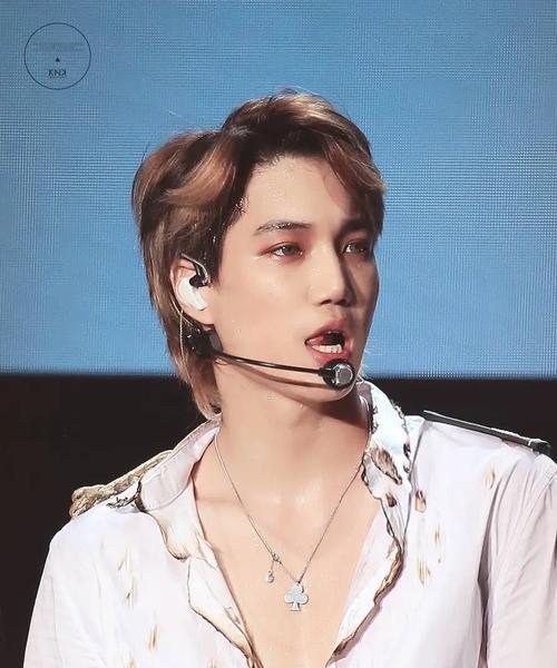 揭秘EXO助理攻略（从A到Z，掌握关键技巧，开启与EXO一同闪耀的旅程）