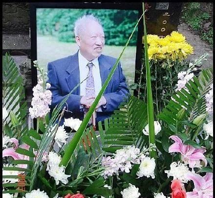 浅塘505关攻略（轻松突破505关的秘诀，让你成为游戏达人！）