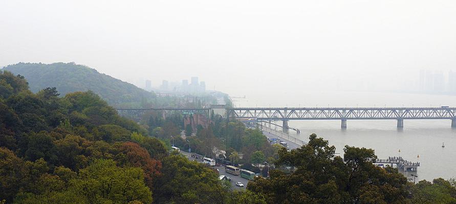 浅塘505关攻略（轻松突破505关的秘诀，让你成为游戏达人！）