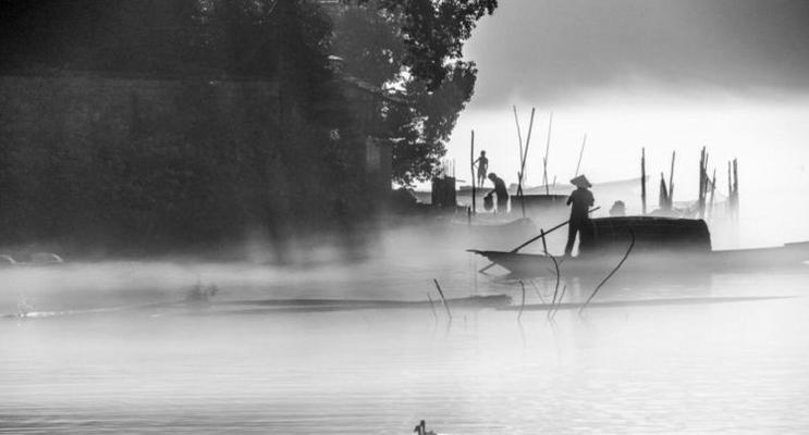 浅塘505关攻略（轻松突破505关的秘诀，让你成为游戏达人！）